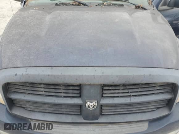 2006 Dodge 1500 SLT with VIN 1D7HU18276S700510, listed as a Copart auction lot 89880625 with Not provided miles and Clean title. Bid and sale history available at DreamBid. Image 11.
