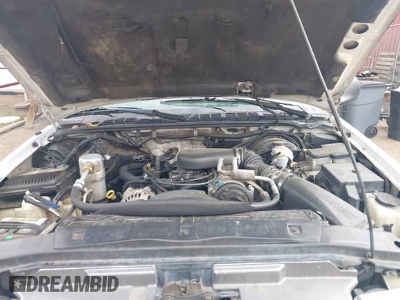 1998 Chevrolet Blazer LS z VIN 1GNDT13W8W2221235, wystawiony jako IAAI lot #42306008 z przebiegiem 245 556 mil mil oraz . Historia ofert i sprzedaży dostępna na DreamBid. Obrazek 10.