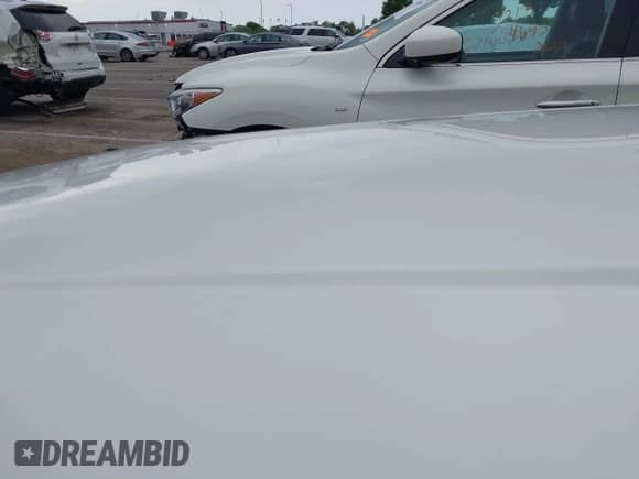 2007 Dodge Nitro R/T with VIN 1D8GU58657W732741, listed as a IAAI auction lot 42145269 with 137,796 mi miles and . Bid and sale history available at DreamBid. Image 6.