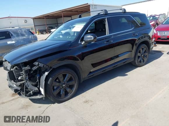 2025 Hyundai Palisade XRT with VIN KM8R3DGE3SU817493, listed as a IAAI auction lot 42520229 with 27,046 mi miles and . Bid and sale history available at DreamBid. Image 18.
