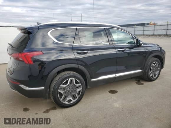 2021 Hyundai Santa Fe Limited with VIN KM8S5DA1XMU009419, listed as a Copart auction lot 85748255 with 91,680 mi miles and Clean title. Bid and sale history available at DreamBid. Image 3.