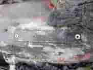 2001 Chevrolet Blazer LS with VIN 1GNCS18W91K256978, listed as a IAAI auction lot 41532812 with Not provided miles and . Bid and sale history available at DreamBid. Image 9.