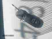 2006 Toyota Highlander with VIN JTEGP21A560124945, listed as a IAAI auction lot 43184435 with 280,202 mi miles and . Bid and sale history available at DreamBid. Image 11.