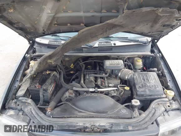 2004 Jeep Grand Cherokee Laredo with VIN 1J4GW48S84C274846, listed as a IAAI auction lot 43344879 with 197,827 mi miles and . Bid and sale history available at DreamBid. Image 10.