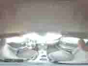 2021 Ford Mustang GT с VIN 1FA6P8CF9M5149848, выставлен на аукционе Copart как лот 80062055 с пробегом 25 220 миль миль и Списание • Salvage title. История ставок и продаж доступна на DreamBid. Изображение 14.