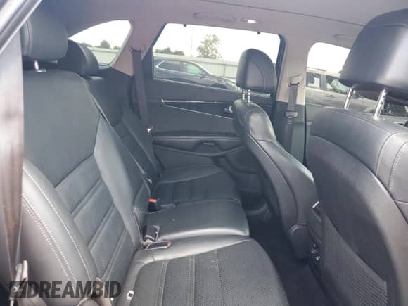 2017 Kia Sorento EX with VIN 5XYPH4A51HG308678, listed as a Copart auction lot 66160075 with 98,550 mi miles and Salvage title. Bid and sale history available at DreamBid. Image 11.