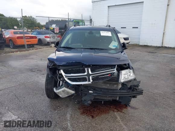 2018 Dodge Journey SE z VIN 3C4PDCAB2JT445249, wystawiony jako IAAI lot #43374095 z przebiegiem 114 525 mil mil oraz . Historia ofert i sprzedaży dostępna na DreamBid. Obrazek 6.