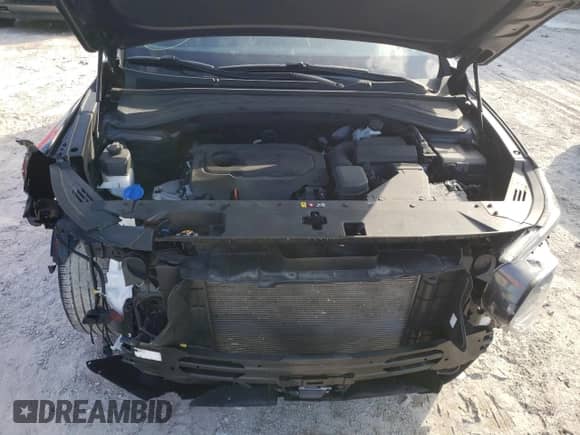 2020 Hyundai Santa Fe SEL with VIN 5NMS33AD0LH188297, listed as a Copart auction lot 67265452 with 40,437 mi miles and . Bid and sale history available at DreamBid. Image 13.