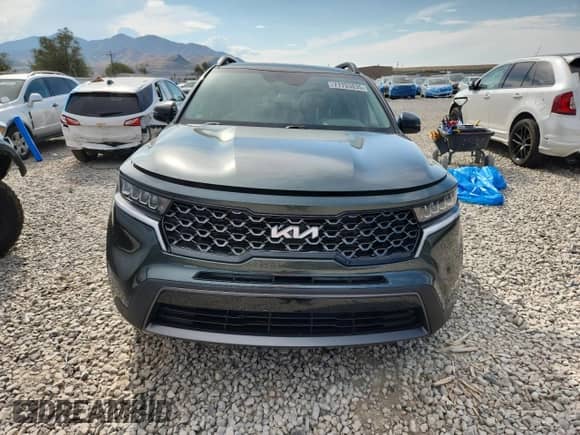 2023 Kia Sorento X-Line S with VIN 5XYRLDLC1PG232204, listed as a Copart auction lot 71703835 with 42,784 mi miles and Salvage title. Bid and sale history available at DreamBid. Image 5.