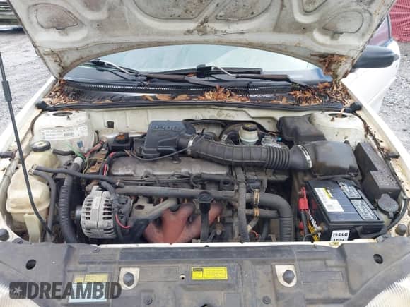 1999 Chevrolet Cavalier z VIN 1G1JC1240X7207273, wystawiony jako IAAI lot #42766994 z przebiegiem 305 330 mil mil oraz . Historia ofert i sprzedaży dostępna na DreamBid. Obrazek 10.