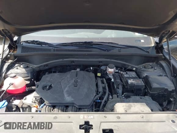 2023 Hyundai Santa Fe XRT with VIN 5NMS64AJ4PH626604, listed as a IAAI auction lot 42684374 with 29,968 mi miles and . Bid and sale history available at DreamBid. Image 10.