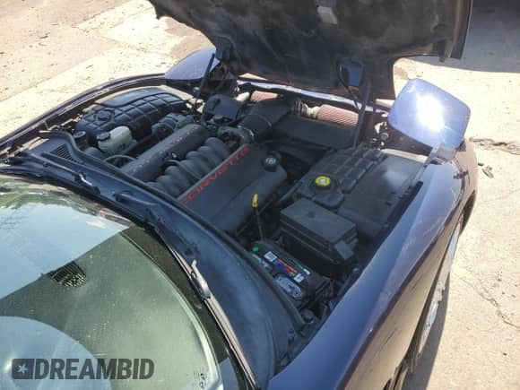 1999 Chevrolet Corvette with VIN 1G1YY22G5X5118357, listed as a Copart auction lot 69802994 with 123,792 mi miles and Salvage title. Bid and sale history available at DreamBid. Image 11.