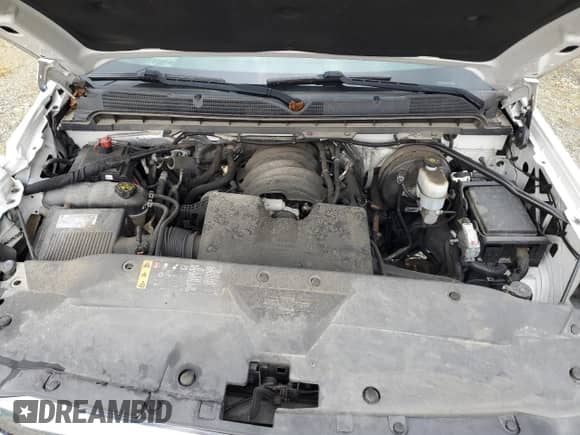 2018 Chevrolet Silverado 1500 Work Truck with VIN 1GCNCNEH0JZ180828, listed as a Copart auction lot 66720435 with 170,681 mi miles and Salvage title. Bid and sale history available at DreamBid. Image 11.
