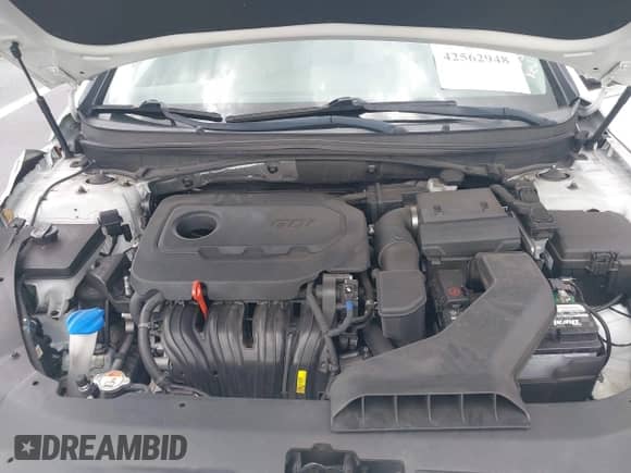 2018 Hyundai Sonata Limited with VIN 5NPE34AF9JH636024, listed as a IAAI auction lot 42562948 with 60,828 mi miles and . Bid and sale history available at DreamBid. Image 10.