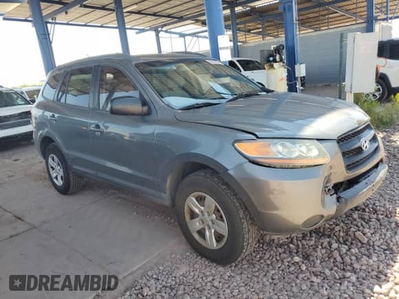 2009 Hyundai Santa Fe GLS z VIN 5NMSG13DX9H232935, wystawiony jako Copart lot #65953874 z przebiegiem 280 340 mil mil oraz Czysty tytuł • Clean title. Historia ofert i sprzedaży dostępna na DreamBid. Obrazek 4.