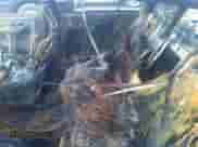 2012 Honda Accord EX z VIN 1HGCP2E71CA031364, wystawiony jako IAAI lot #32371079 z przebiegiem 90 558 mil mil oraz . Historia ofert i sprzedaży dostępna na DreamBid. Obrazek 8.