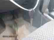 2002 Nissan Frontier SE с VIN 1N6ED29X62C382152, выставлен на аукционе IAAI как лот 41514951 с пробегом 219 133 миль миль и . История ставок и продаж доступна на DreamBid. Изображение 11.