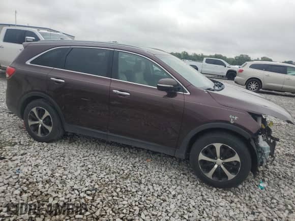 2016 Kia Sorento EX with VIN 5XYPH4A53GG066412, listed as a Copart auction lot 81458015 with Not provided miles and Salvage title. Bid and sale history available at DreamBid. Image 4.