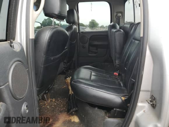 2002 Dodge 1500 z VIN 1D7HU18Z62J253035, wystawiony jako Copart lot #81541385 z przebiegiem Nie podano mil oraz Czysty tytuł • Clean title. Historia ofert i sprzedaży dostępna na DreamBid. Obrazek 10.