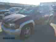 2006 Chevrolet TrailBlazer LT z VIN 1GNDT13S462266217, wystawiony jako IAAI lot #42801284 z przebiegiem 176 604 mil mil oraz . Historia ofert i sprzedaży dostępna na DreamBid. Obrazek 17.