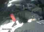 2011 Honda Accord LX с VIN 1HGCP2F3XBA141386, выставлен на аукционе IAAI как лот 43503266 с пробегом 124 533 миль миль и . История ставок и продаж доступна на DreamBid. Изображение 12.