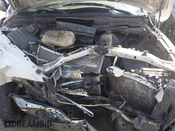 2004 Dodge 1500 ST z VIN 1D7HA16N84J153479, wystawiony jako IAAI lot #42982710 z przebiegiem 284 516 mil mil oraz . Historia ofert i sprzedaży dostępna na DreamBid. Obrazek 10.