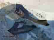 2020 Chevrolet Equinox LT with VIN 2GNAXLEX3L6179385, listed as a Copart auction lot 71430295 with 131,667 mi miles and Salvage title. Bid and sale history available at DreamBid. Image 13.