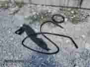 2006 Dodge Grand Caravan SXT z VIN 2D4GP44L36R668320, wystawiony jako Copart lot #70568995 z przebiegiem 152 289 mil mil oraz Szkoda całkowita • Salvage title. Historia ofert i sprzedaży dostępna na DreamBid. Obrazek 13.