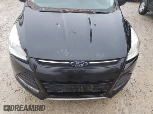 2014 Ford Escape SE with VIN 1FMCU0GX1EUD64105, listed as a Copart auction lot 82298125 with Not provided miles and Clean title. Bid and sale history available at DreamBid. Image 12.