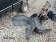 1998 Dodge 1500 с VIN 3B7HF12Y8WG157614, выставлен на аукционе Copart как лот 85993434 с пробегом 217 416 миль миль и Списание • Salvage title. История ставок и продаж доступна на DreamBid. Изображение 12.