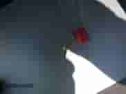 1998 GMC Sierra 1500 with VIN 1GTEC14W8WZ544249, listed as a IAAI auction lot 42477120 with 222,101 mi miles and . Bid and sale history available at DreamBid. Image 11.