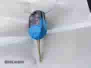 2014 Ford F-150 XL с VIN 1FTFW1EF2EKE21256, выставлен на аукционе IAAI как лот 42913911 с пробегом 204 437 миль миль и . История ставок и продаж доступна на DreamBid. Изображение 11.