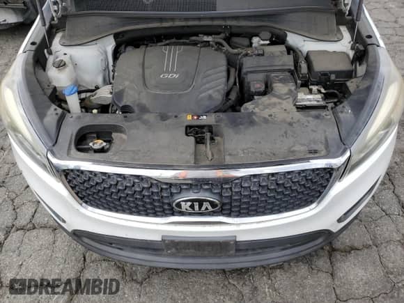 2017 Kia Sorento LX with VIN 5XYPGDA54HG196140, listed as a Copart auction lot 82333275 with 161,895 mi miles and Clean title. Bid and sale history available at DreamBid. Image 12.