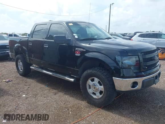 2009 Ford F-150 XL with VIN 1FTRW12869FA90411, listed as a IAAI auction lot 42533298 with 167,041 mi miles and . Bid and sale history available at DreamBid. Image 1.