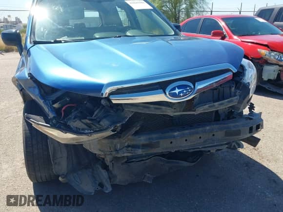 2016 Subaru Forester 2.5i with VIN JF2SJAAC9GG490784, listed as a IAAI auction lot 42845580 with 96,166 mi miles and . Bid and sale history available at DreamBid. Image 6.