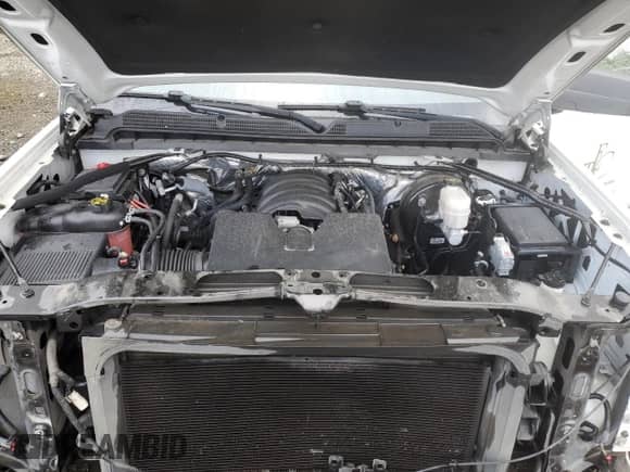 2017 Chevrolet Silverado 1500 Work Truck with VIN 1GCNCNEH7HZ106168, listed as a Copart auction lot 48493565 with 250,332 mi miles and Salvage title. Bid and sale history available at DreamBid. Image 11.