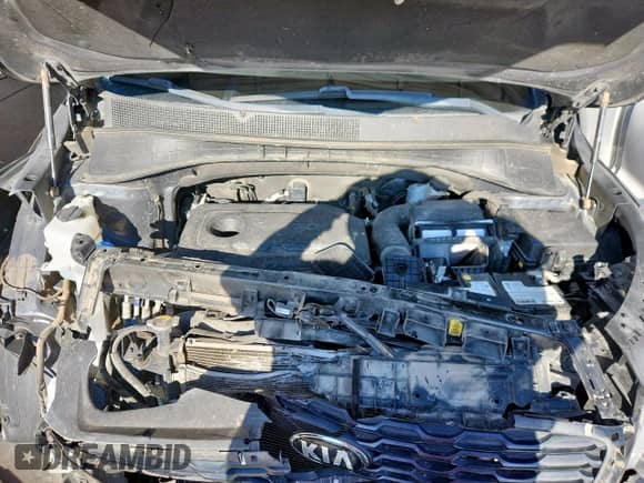 2019 Kia Sorento LX with VIN 5XYPG4A3XKG537403, listed as a Copart auction lot 80036955 with Not provided miles and Salvage title. Bid and sale history available at DreamBid. Image 11.