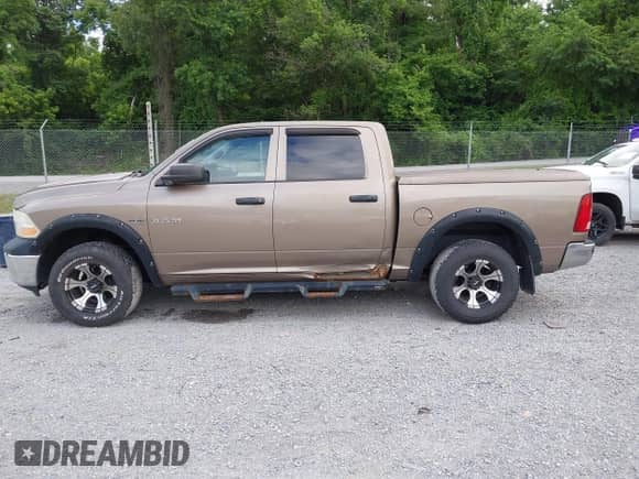 2010 Dodge 1500 SLT with VIN 1D7RV1CT0AS217225, listed as a IAAI auction lot 42502177 with 168,451 mi miles and . Bid and sale history available at DreamBid. Image 14.