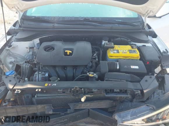 2019 Hyundai Elantra SEL z VIN 5NPD84LF9KH485620, wystawiony jako IAAI lot #43026723 z przebiegiem 102 233 mil mil oraz . Historia ofert i sprzedaży dostępna na DreamBid. Obrazek 10.