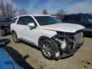2022 Hyundai Palisade SE z VIN KM8R1DHE9NU380057, wystawiony jako Copart lot #46683525 z przebiegiem 28 735 mil mil oraz Szkoda całkowita • Salvage title. Historia ofert i sprzedaży dostępna na DreamBid. Obrazek 4.