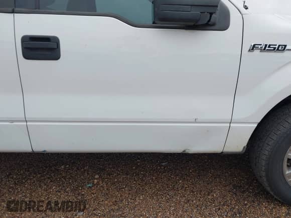 2010 Ford F-150 XL with VIN 1FTEW1C83AFD90585, listed as a IAAI auction lot 43062304 with 187,076 mi miles and . Bid and sale history available at DreamBid. Image 6.