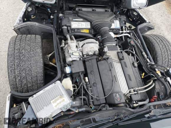 1996 Chevrolet Corvette с VIN 1G1YY22PXT5112838, выставлен на аукционе Copart как лот 75089234 с пробегом 70 163 миль миль и На запчасти • Non repairable. История ставок и продаж доступна на DreamBid. Изображение 11.