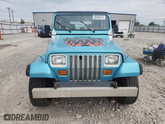 1995 Jeep Wrangler S with VIN 1J4FY19P7SP273157, listed as a Copart auction lot 80282215 with 188,501 mi miles and Clean title. Bid and sale history available at DreamBid. Image 5.