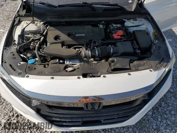2019 Honda Accord Sport with VIN 1HGCV2F35KA002272, listed as a Copart auction lot 81148455 with 3,493 mi miles and Salvage title. Bid and sale history available at DreamBid. Image 11.