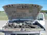 1995 Ford F-150 с VIN 1FPDF15Y8SLA31289, выставлен на аукционе IAAI как лот 43411279 с пробегом 213 242 миль миль и . История ставок и продаж доступна на DreamBid. Изображение 10.