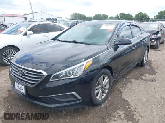 2016 Hyundai Sonata SE с VIN 5NPE24AF1GH390985, выставлен на аукционе IAAI как лот 43058220 с пробегом 189 879 миль миль и . История ставок и продаж доступна на DreamBid. Изображение 17.