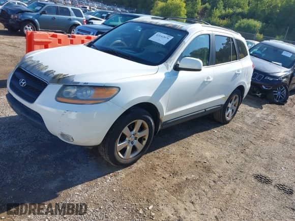 2009 Hyundai Santa Fe SE with VIN 5NMSH13E79H255563, listed as a IAAI auction lot 43142076 with 195,510 mi miles and . Bid and sale history available at DreamBid. Image 2.