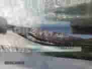 2015 Ram 1500 ST with VIN 1C6RR7FT1FS683127, listed as a Copart auction lot 71780455 with 217,071 mi miles and Clean title. Bid and sale history available at DreamBid. Image 12.