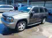 2008 Chevrolet TrailBlazer 2LT z VIN 1GNDS13S782227028, wystawiony jako IAAI lot #43067998 z przebiegiem 244 228 mil mil oraz . Historia ofert i sprzedaży dostępna na DreamBid. Obrazek 2.