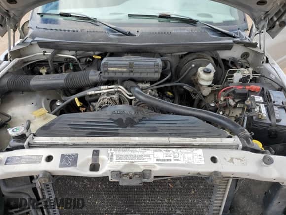 1999 Dodge 1500 with VIN 1B7HF16Z1XS320584, listed as a Copart auction lot 65469405 with 194,069 mi miles and Clean title. Bid and sale history available at DreamBid. Image 11.